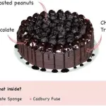 Bakingo Snicker Fuse Chocolate Cake