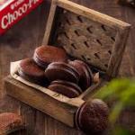 ORION CHOCO PIE 100%VEG(450g)18packs